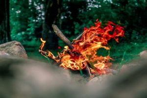 Camping dans le jardin pour les enfants : le guide complet