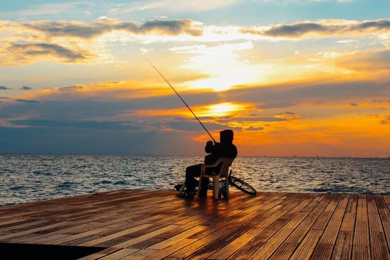 Partir à la pêche: le guide pour une pêche confortable