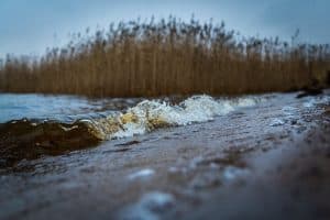 5 bonnes raisons de se rendre à la plage en automne