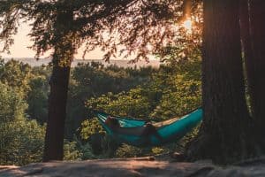 Écouter la nature, c’est bon pour la santé