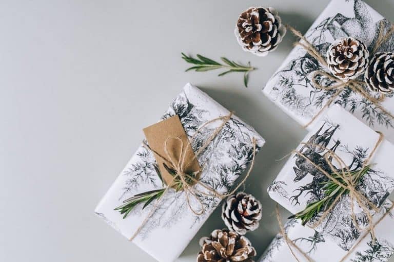 Les meilleurs cadeaux pour les amoureux de la nature