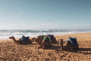 Vacances à la plage en Afrique, qu’est-ce qui change ?