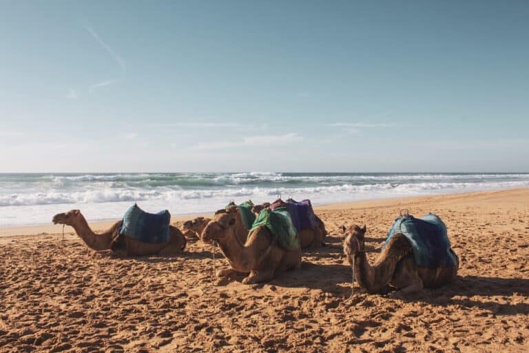 Vacances à la plage en Afrique, qu’est-ce qui change ?